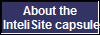 About the
InteliSite capsule